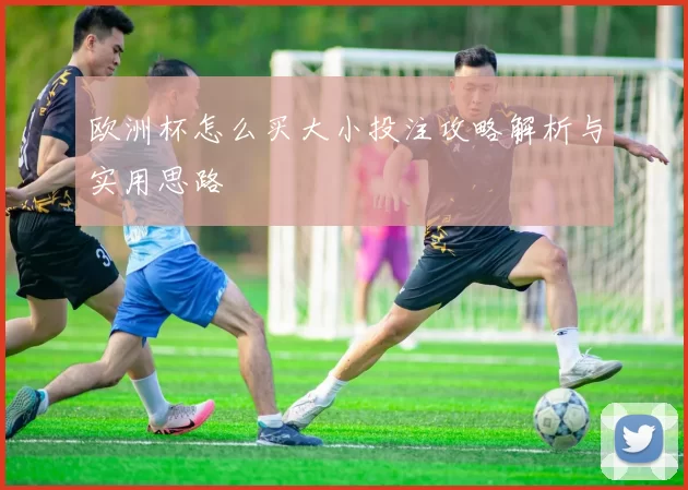 欧洲杯怎么买大小投注攻略解析与实用思路