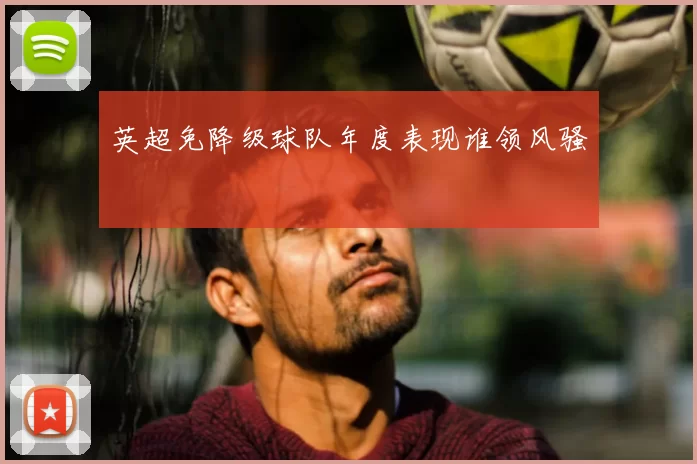 英超免降级球队年度表现谁领风骚
