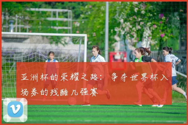亚洲杯的荣耀之路:争夺世界杯入场券的残酷几强赛