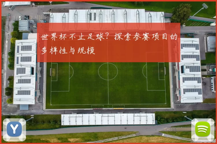 世界杯不止足球?探索参赛项目的多样性与规模