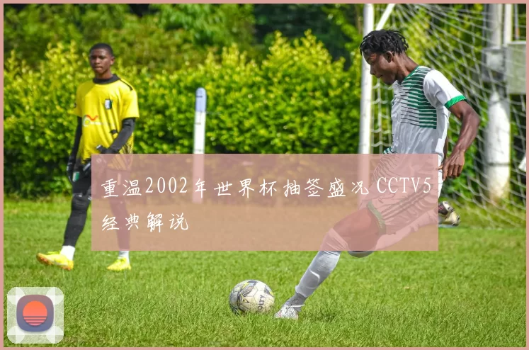 重温2002年世界杯抽签盛况 CCTV5经典解说