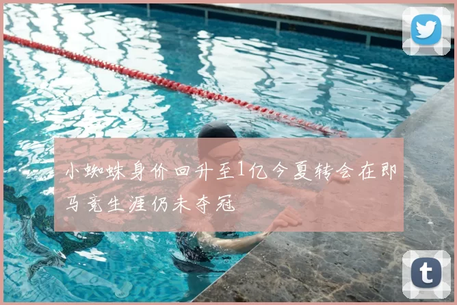 小蜘蛛身价回升至1亿今夏转会在即马竞生涯仍未夺冠