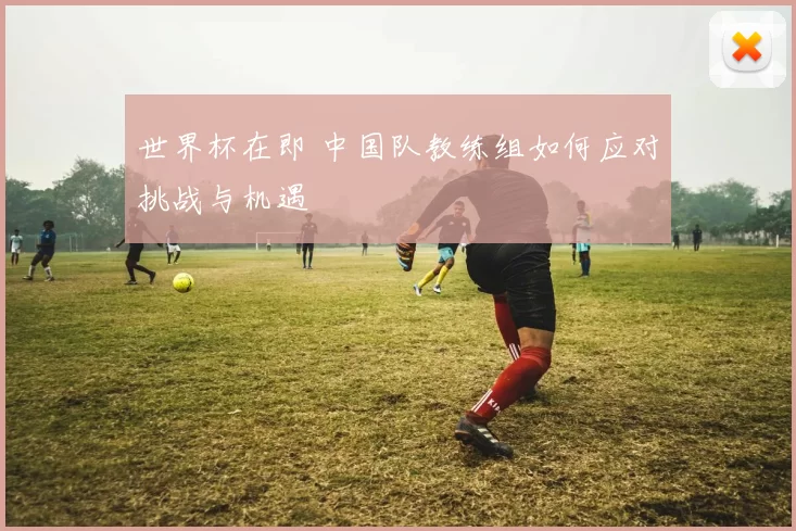 世界杯在即 中国队教练组如何应对挑战与机遇