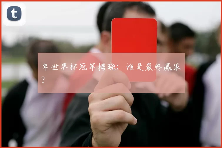 年世界杯冠军揭晓：谁是最终赢家？