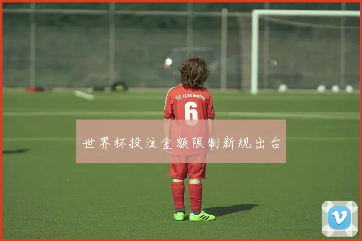 世界杯投注金额限制新规出台