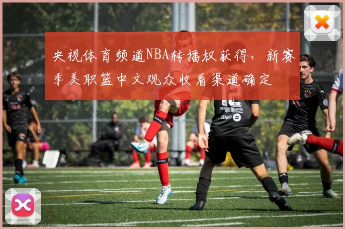 央视体育频道NBA转播权获得,新赛季美职篮中文观众收看渠道确定