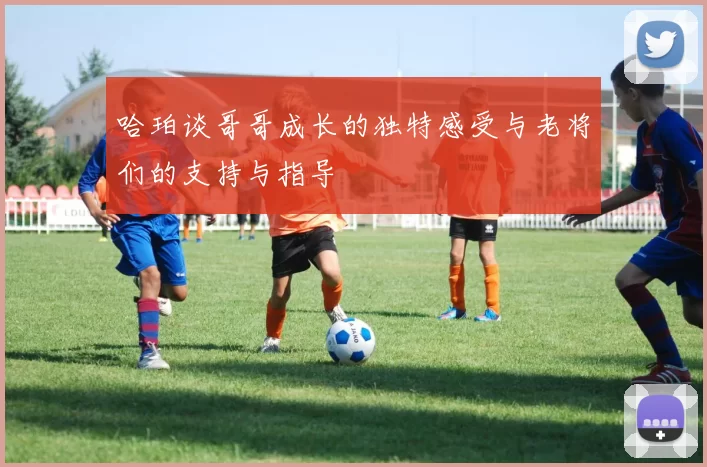 哈珀谈哥哥成长的独特感受与老将们的支持与指导