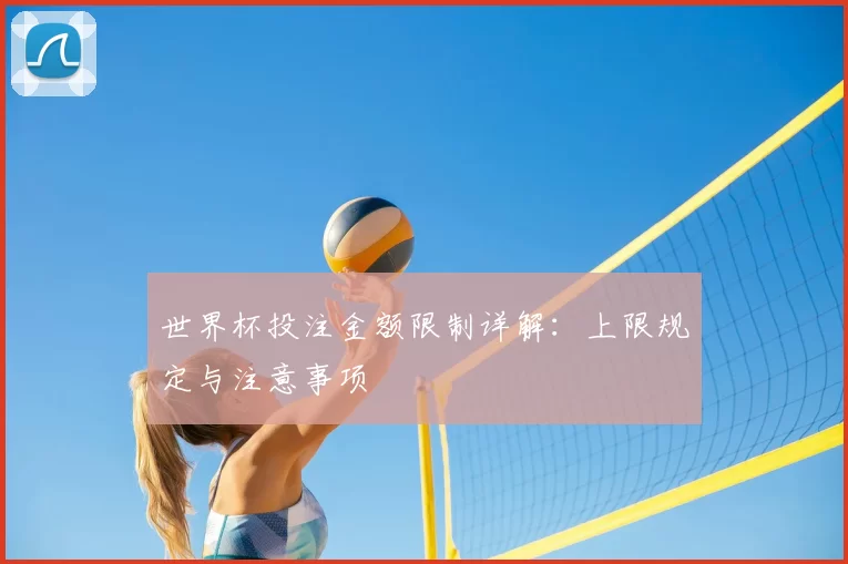 世界杯投注金额限制详解：上限规定与注意事项