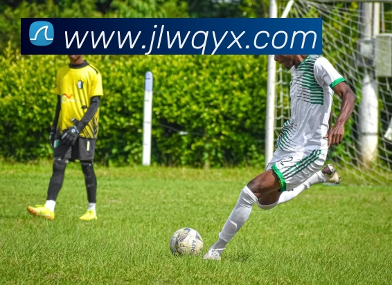 雅博appAPP 封面图